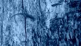 preview cold