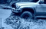 preview cold