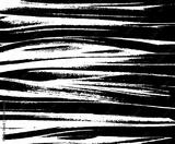preview bw