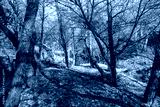 preview cold