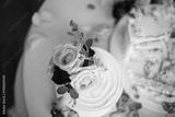 preview bw