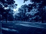 preview cold