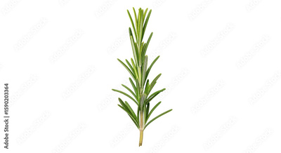 image to crop