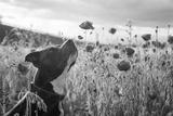 preview bw