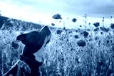 preview cold