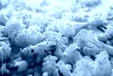 preview cold