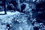 preview cold