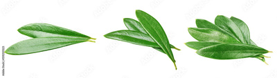 image to crop