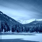preview cold