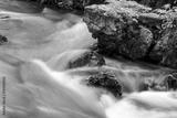 preview bw