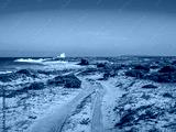 preview cold