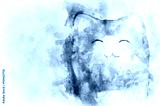 preview cold