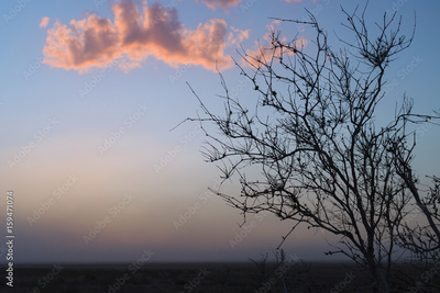 image to crop