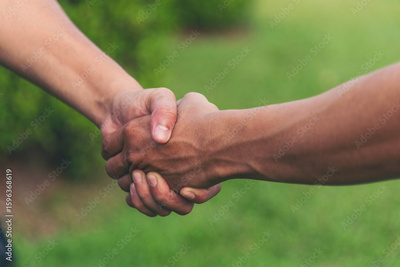 image to crop