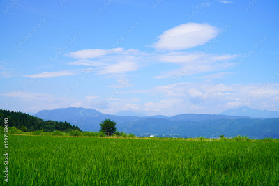 image to crop
