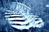 preview cold
