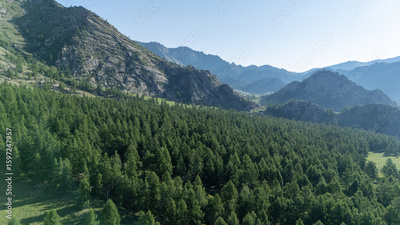 image to crop