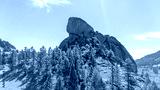 preview cold