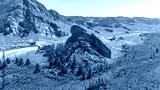 preview cold