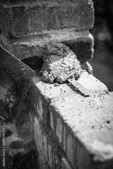 preview bw
