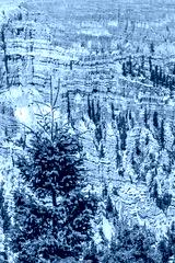 preview cold