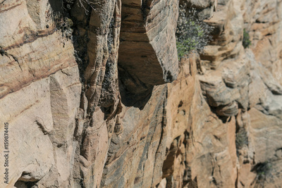 image to crop