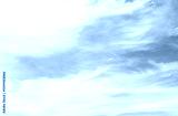 preview cold