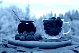 preview cold