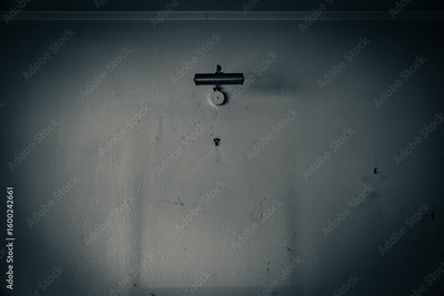 image to crop