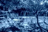 preview cold