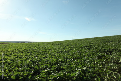 image to crop