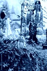 preview cold