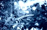 preview cold