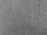 preview bw