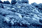 preview cold