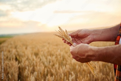 image to crop