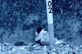 preview cold