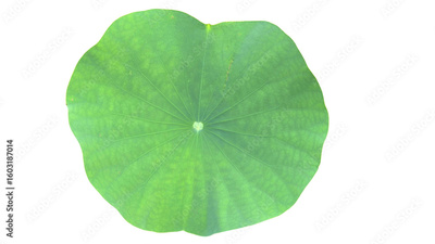 image to crop