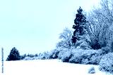 preview cold