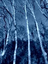 preview cold
