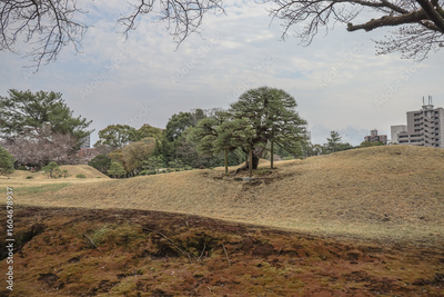 image to crop