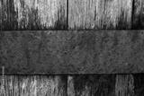 preview bw