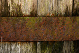 preview original