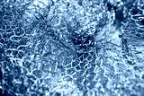 preview cold