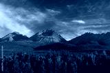 preview cold