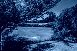preview cold