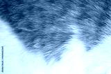preview cold