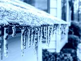 preview cold