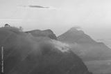 preview bw