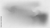 preview bw